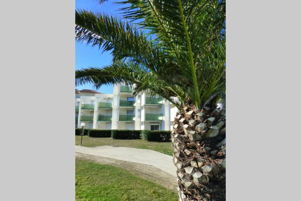 Les Goelettes - Appartement En Rdc Avec Acces Direct A La Plage Saint-Cyprien  Zewnętrze zdjęcie