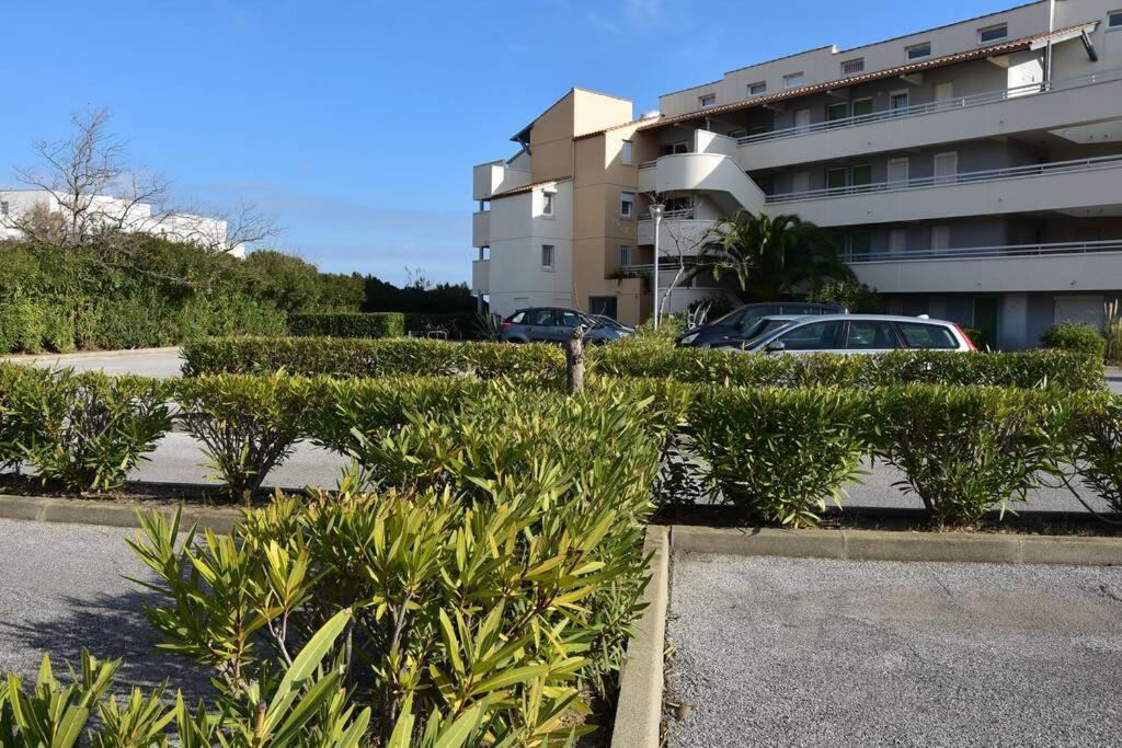 Les Goelettes - Appartement En Rdc Avec Acces Direct A La Plage Saint-Cyprien  Zewnętrze zdjęcie