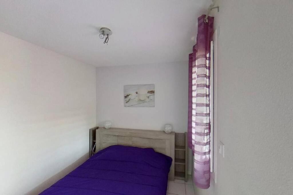 Les Goelettes - Appartement En Rdc Avec Acces Direct A La Plage Saint-Cyprien  Zewnętrze zdjęcie